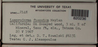 Image Associated With the Occurence